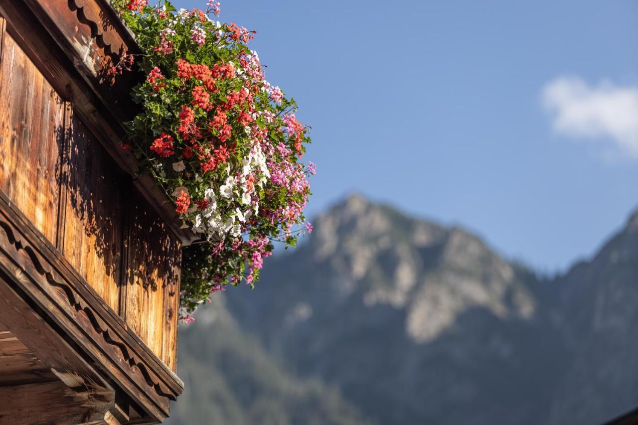 Das Alpbach Juwel Luaran gambar