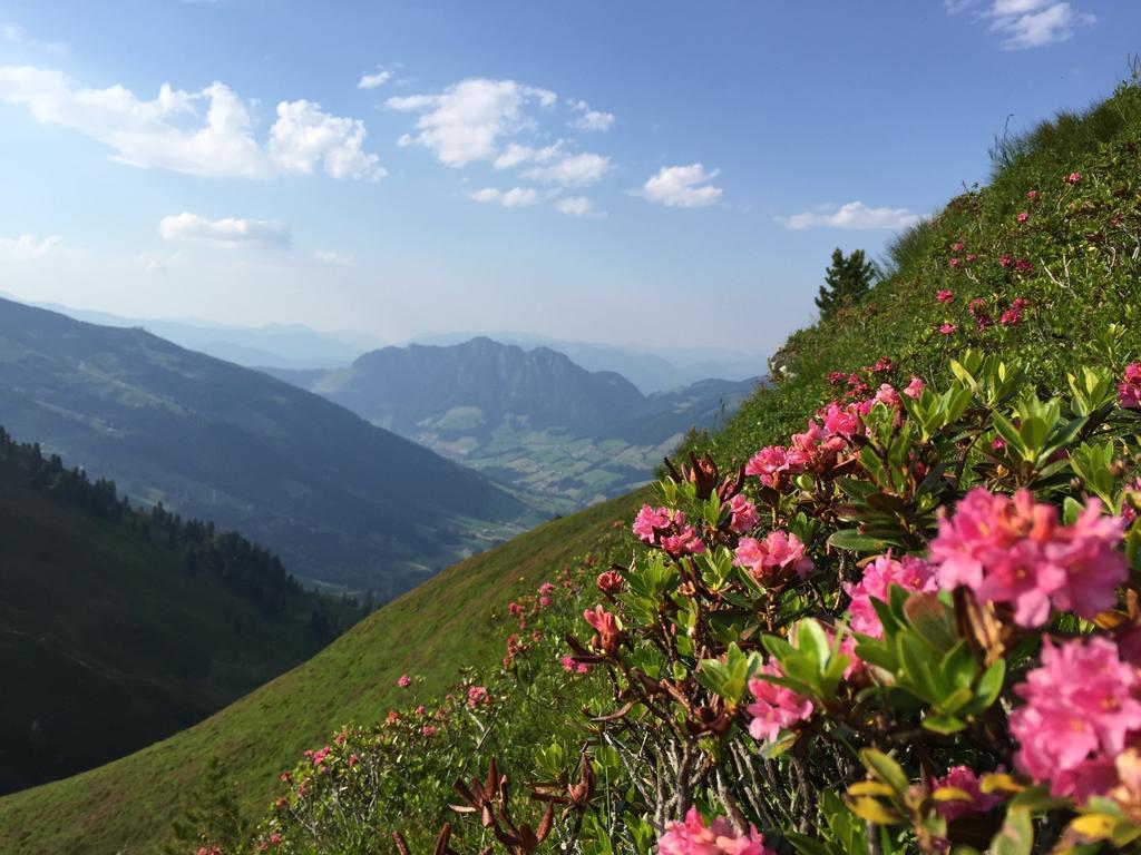 Das Alpbach Juwel Luaran gambar