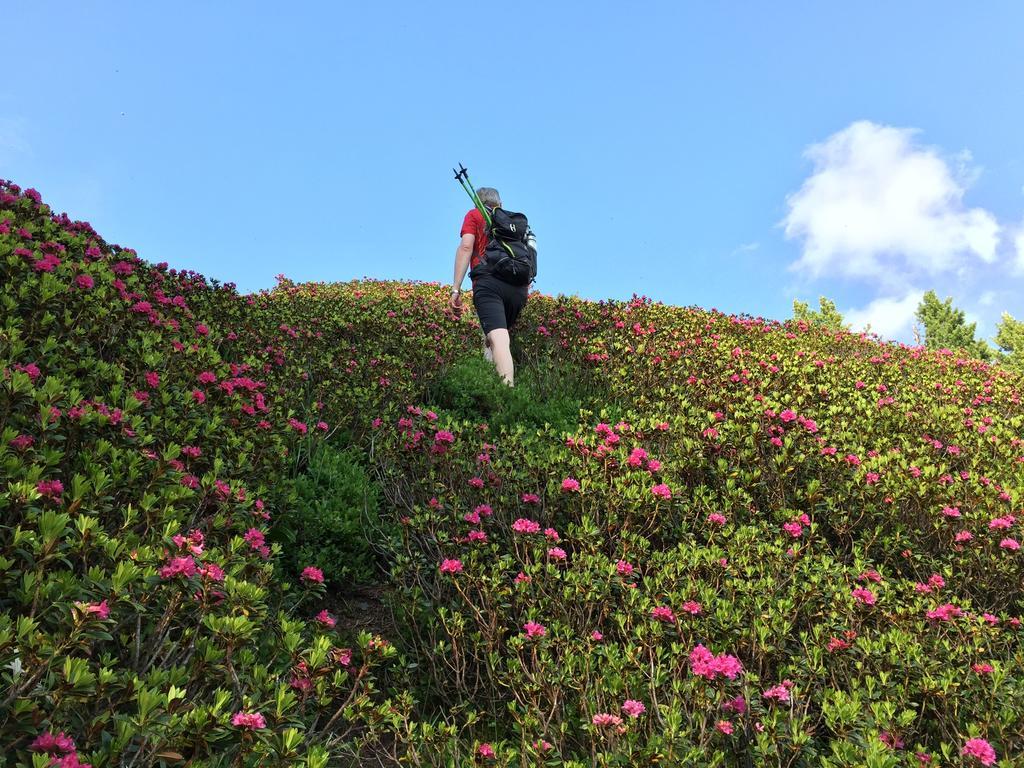 Das Alpbach Juwel Luaran gambar