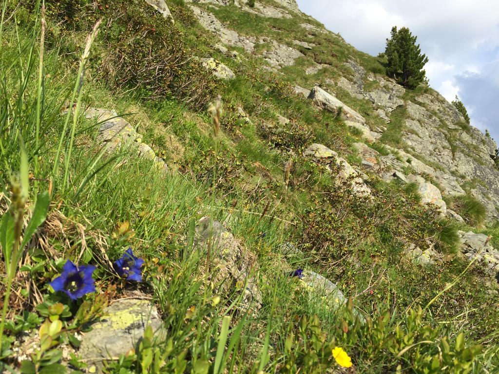 Das Alpbach Juwel Luaran gambar