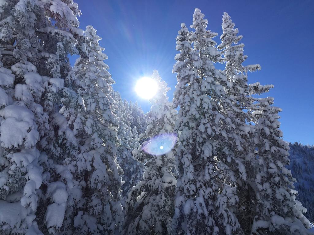 Das Alpbach Juwel Luaran gambar