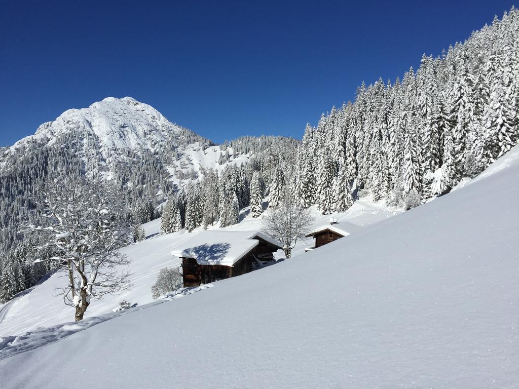 Das Alpbach Juwel Luaran gambar
