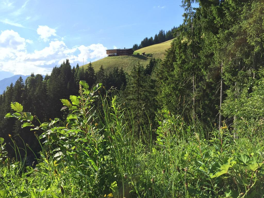 Das Alpbach Juwel Luaran gambar